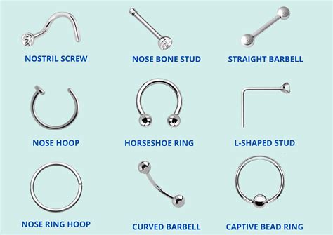 what is a nose ring called.